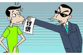 赣县企业清欠服务